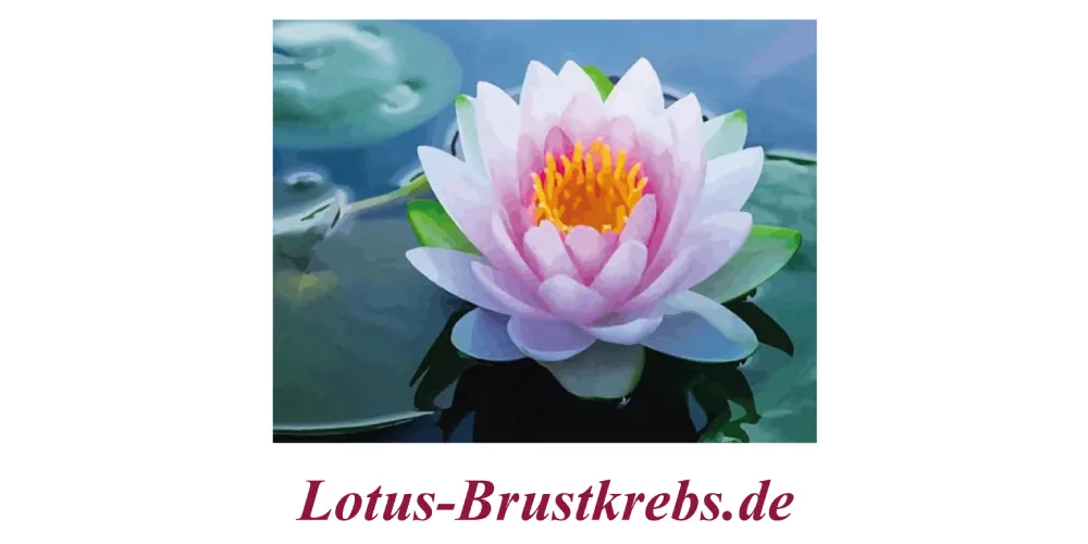 23_pinktober_sponsor_lotus